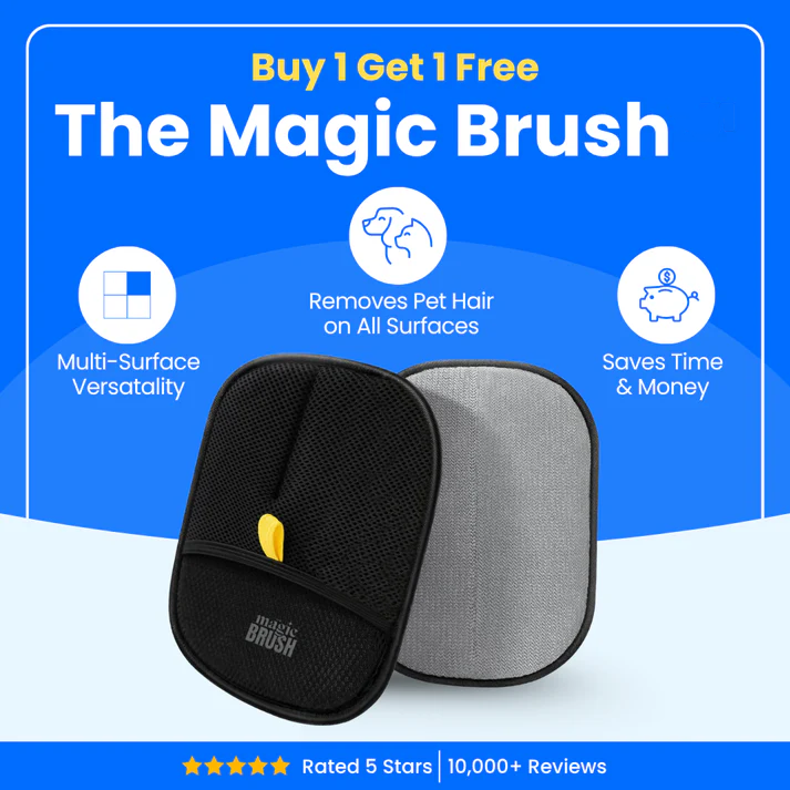 🚀🚀The Magic Brush - Buy 1 Get 1 Free