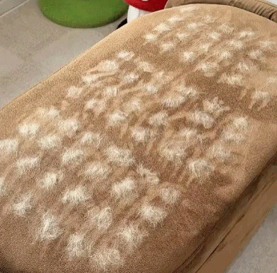 🚀🚀The Magic Brush - Buy 1 Get 1 Free